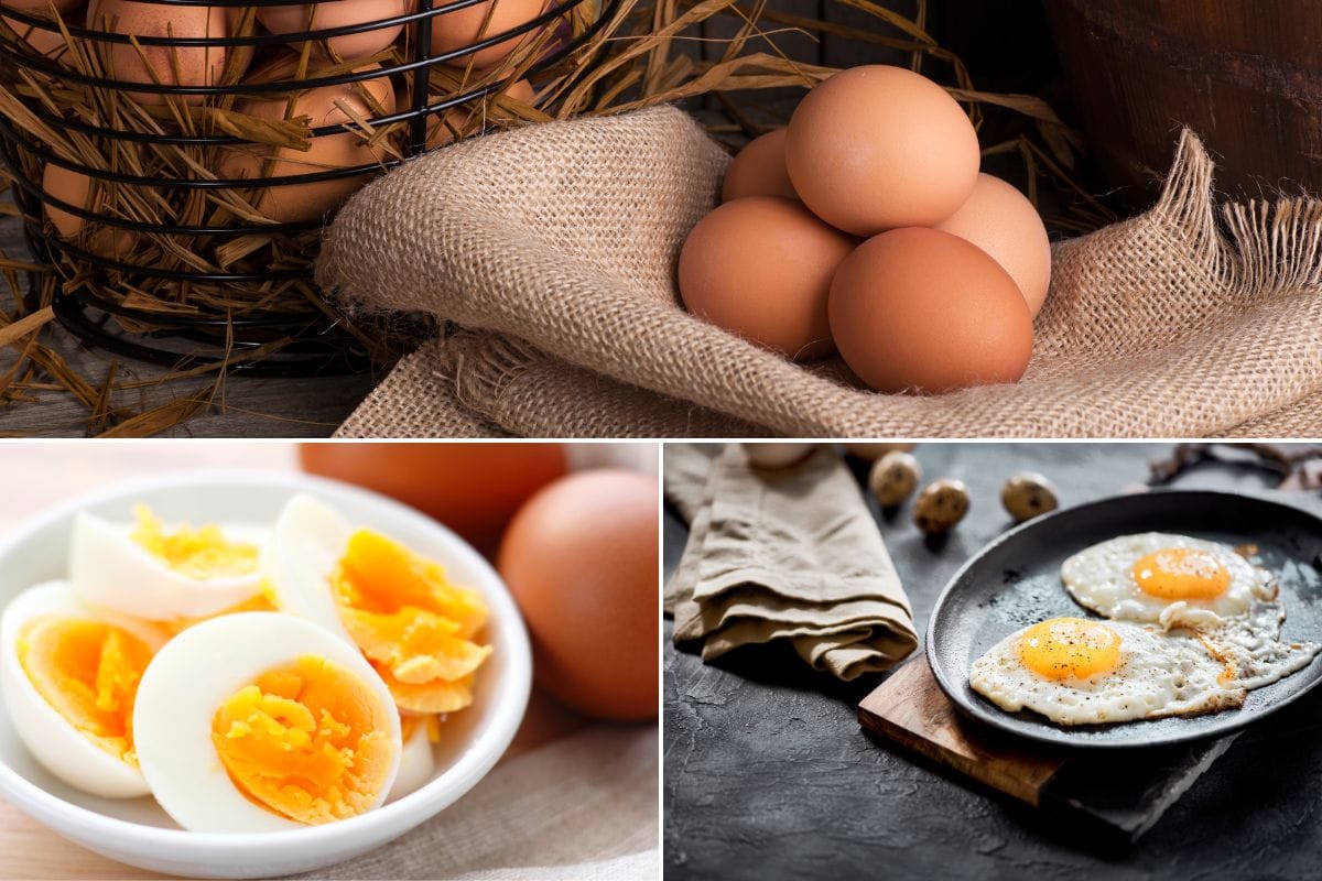 Seven amazing health benefits of eggs