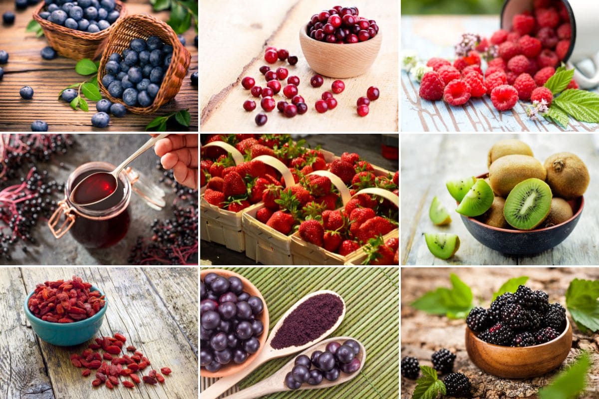 Healthiest Berries to Eat: Blueberries, Raspberries, Elderberries, Kiwis, Cranberries, and More