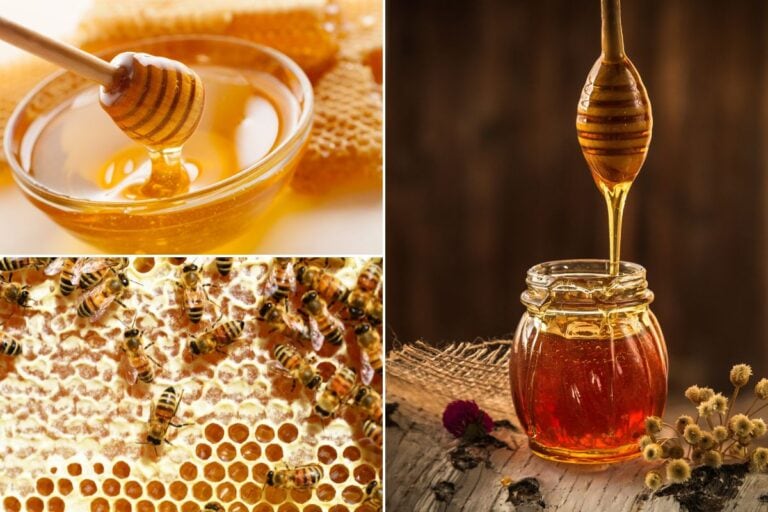 Health Benefits of Raw Honey