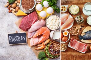 Reasons to Prioritize Protein in Your Diet
